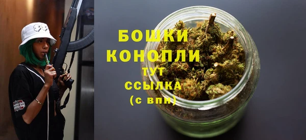 дмт Белокуриха