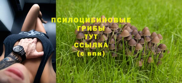 дмт Белокуриха