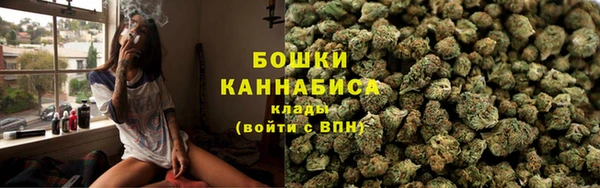 дмт Белокуриха